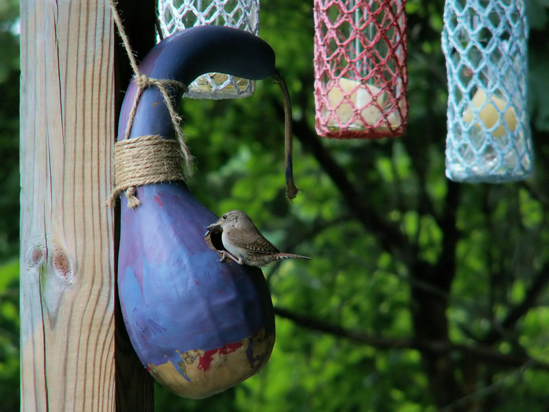 A Guide to Recognizing Hazardous Waste